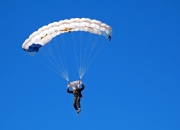 开云体育APP下载-橙衣风暴中的孤胆英雄，卡拉斯科如何扛起荷兰力克勒沃库森的重任