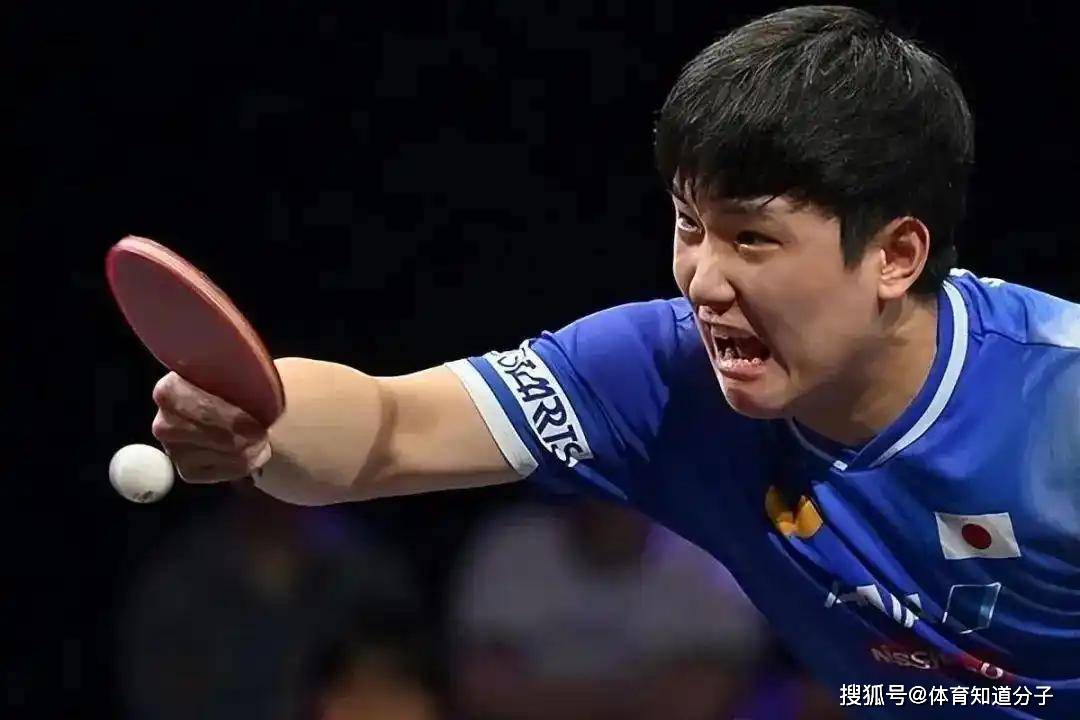 英国乒乓球队轻取日本乒乓球队，张本智和关键制胜的简单介绍