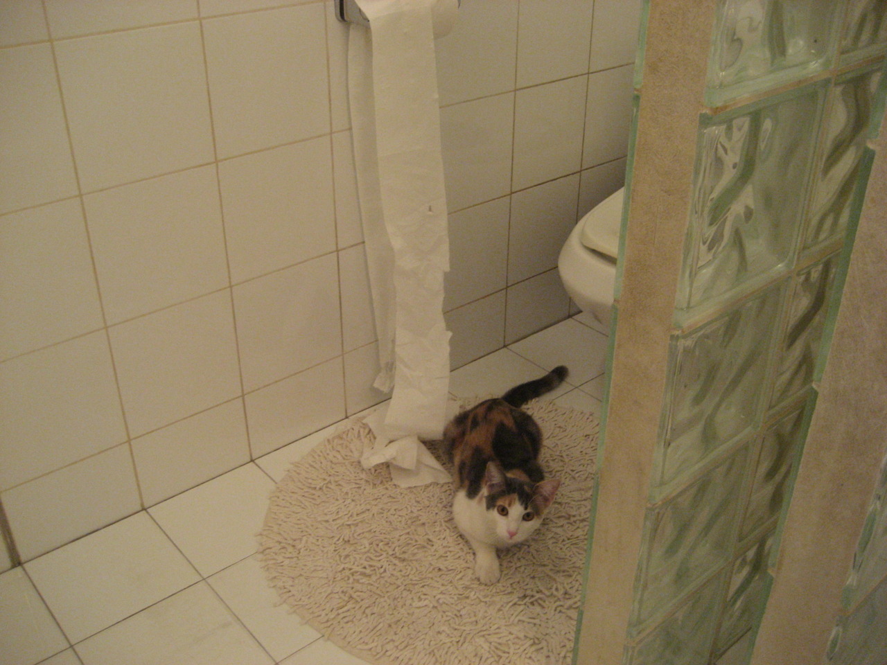 秘鲁冲垮瑞士，阿尔瓦雷斯如何成为硬仗之王的传奇之战