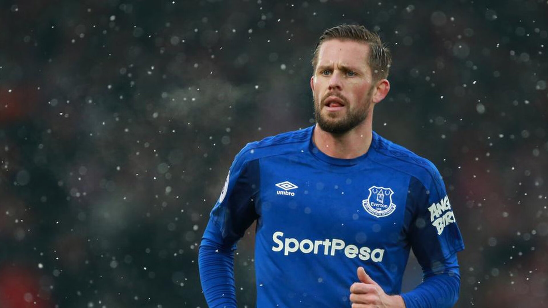 F1年度争冠焦点战与厄瓜多尔踏平塞内加尔，速度与激情的双重奏